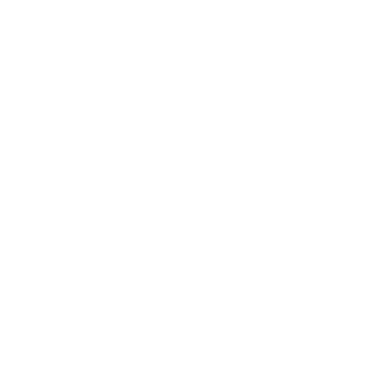 شعار صيت الريادة